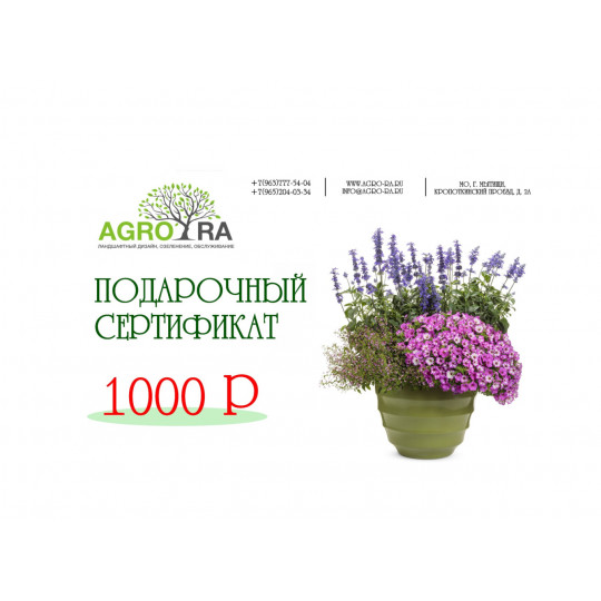 Сертификат 1000 Р