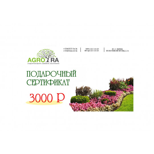Сертификат 3000 Р